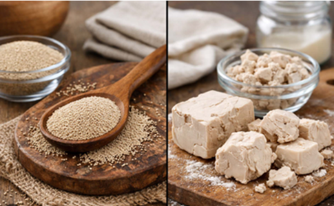 Instant Dry Yeast - Bakery & Food Ingredients supplier in Swat