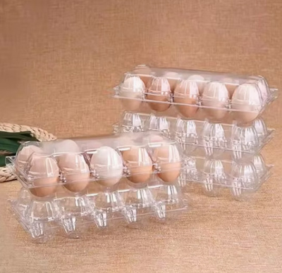 Plastic Egg Trays - Disposable & Plastic Products supplier in Swat